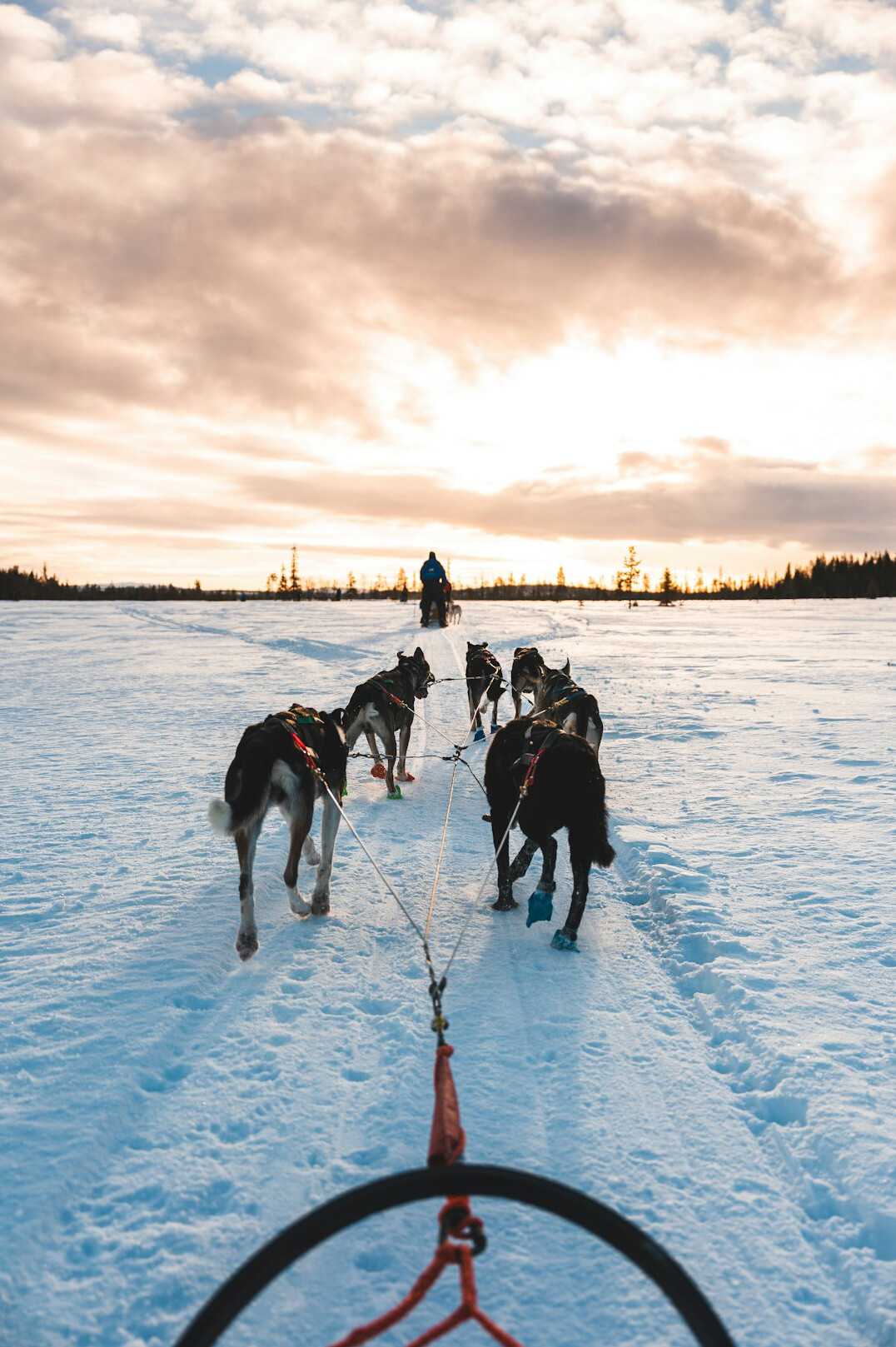 arctic expedition team