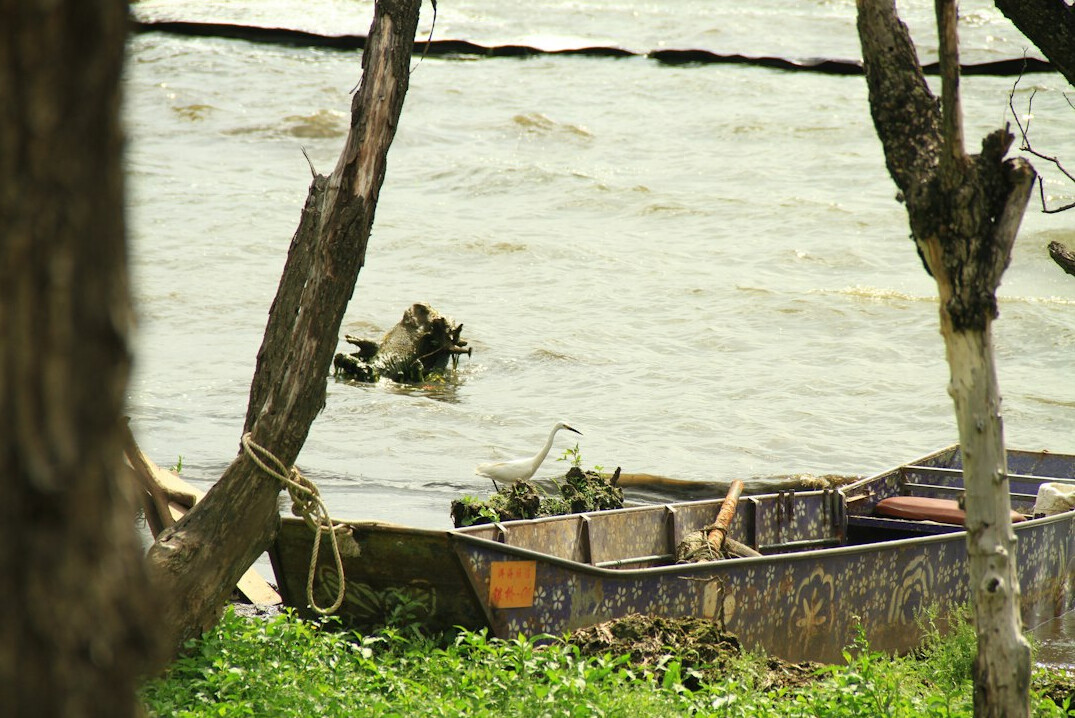 old shipwreck on lake shore